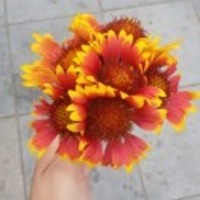 4a87ba26515d9e1d1d4fbc03ee66ef77037b68fa