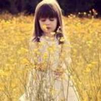 0b83155c84255e49df4ed8e62461c4b713b9af7c