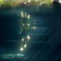 72f9800e5705510a154778c801554d0b4eac85c5