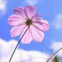 Bc02b99e5c5d2cd63c85d6522d13a61ab746be69