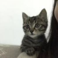 B882b9d5078df40556a62aba204394bc1753b83d