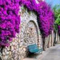 6af981d89746a406b7c0c0ed850ffda1cea78146