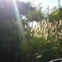 8fd041653750f2a7f94b5def38016c8a430e6691