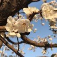 8481195bed17aa24995dcccadd1097111a928a55