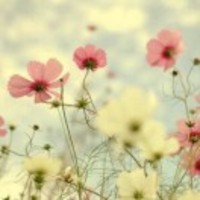 C6ab117a971ce78f3c87e8b366b059a128bb0772