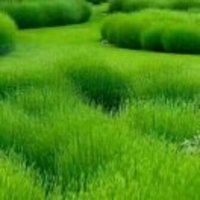 Ba315b78959bdaf724420bc41d3d893ca3162b99