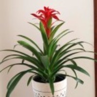 658f10f3ed944d80b6bc06eecfc3b1cea324feef