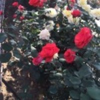 899e69e97dbd71ebfc450eeeca05fbf95d53eab0