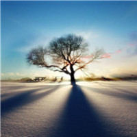 1cb471d8d1e0261eb1190c3f26d2977b9fe5a327