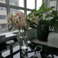 A7179fb68ea790eb44a3c384006101f0a0273ee5