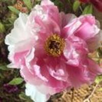 5de4482473608962d9db9c463079a760171e65d9