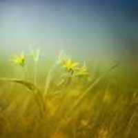 7b6ae1d5992a5298b5b298998d305967be7ee584