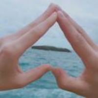 F7dd95799c9be730b78bcf8c37285e12f49f3633