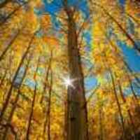 4ede2b2413662947e8b6ae7f53f42f2fe85ec31d