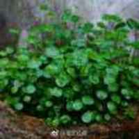 A7d212df68934ce04da0286e57bf630c2760f7f0