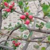 81618711e65ea3e99e2a7e64b44ab25faf66c5eb