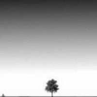 218f9394e918eeceaaa42608513fec374bf1e2c8