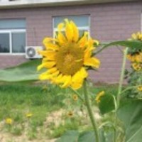 Ffe38d956a2f7b2266caae858762464acbde638b