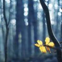 C967843f841b5599b3da99553eea08160a5ed0cd