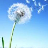 D79801739fc51ecec87495c7a3a231cc5e4e423e