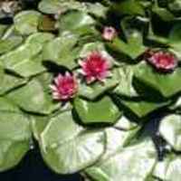 Ed5d244f094d42643e50e4eec5f9ba3c5de3e7d6