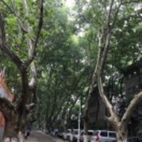 733beb19ce31ec2ec83313094ce15f2606c27bc2