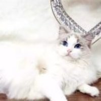 A03e3ef66df7c5cd3d341e7ffd61c7b9598d456d