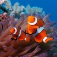 91b452a9b57690f8b64d2afa25cf3ad5347188c2