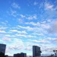 B02c92215588b80162019d1ecf34af77065b4e22