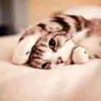 67d20fc03be045f9e364f7bf5b0ef4e776f20d6c