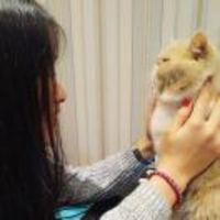 925d679e8fe35d0a8426df563d9ae996030cc710