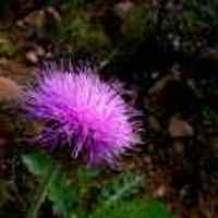 25cd24301a0d87d3b41ac236570199f2e51ddb31