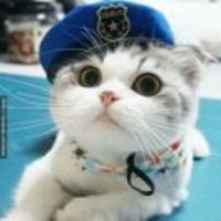 Ad5fb268f479729a017782903dbf7c678875f3e1