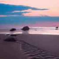 E86ff34041465e345d8c8a9db208d38967421012