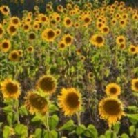 Aa5705ebac782d9c4a52d634ecef3d35061c2326