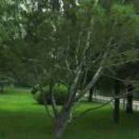 8738873c97a0007c33a17b4696b2cd6c7725ddcb