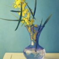 6e66dad4136cc82398f821e7ceafd92fd77b2368