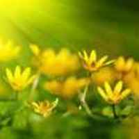 14e13fe82cca02037ed22f641e13985088e86228