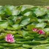 Ad888766ff67b40d63dea8d5ef1f61828279a5fa