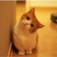 Bcbb1404d4c5099a28bc1de2af8df66c6c8b9f28