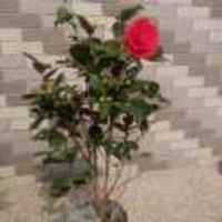 535ea47ee51ab6444e6afee67dc2707afd87f754