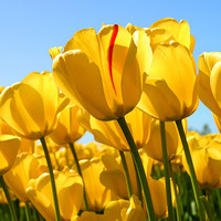 A4796a93087ef35fedcea562d150dee7b88f63c8