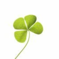 Cc308b9b06942aed1775db14609b70bd6ac184b4