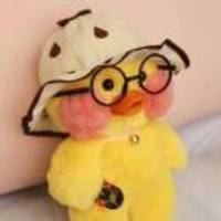 Dc66950e15545d7104bf469072b93cf42e723a3f