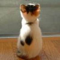 20ce3d60164eb5078805af134b01ebf16742df5f