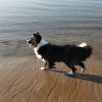 9254e828b0fcbaef37de597dd773d590c2d6af59