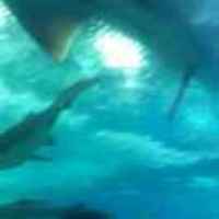 2a473fdab615bd2fd5da6168658a7f35c93c5be4