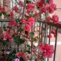 54cff381817015aaadbc6187984ecff808674753