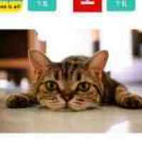 822e6059c2927500c16691e6b7cf54844d9c3506