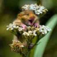 1862342ff0fb9c3a70bae780ec7563b739b5d0f8